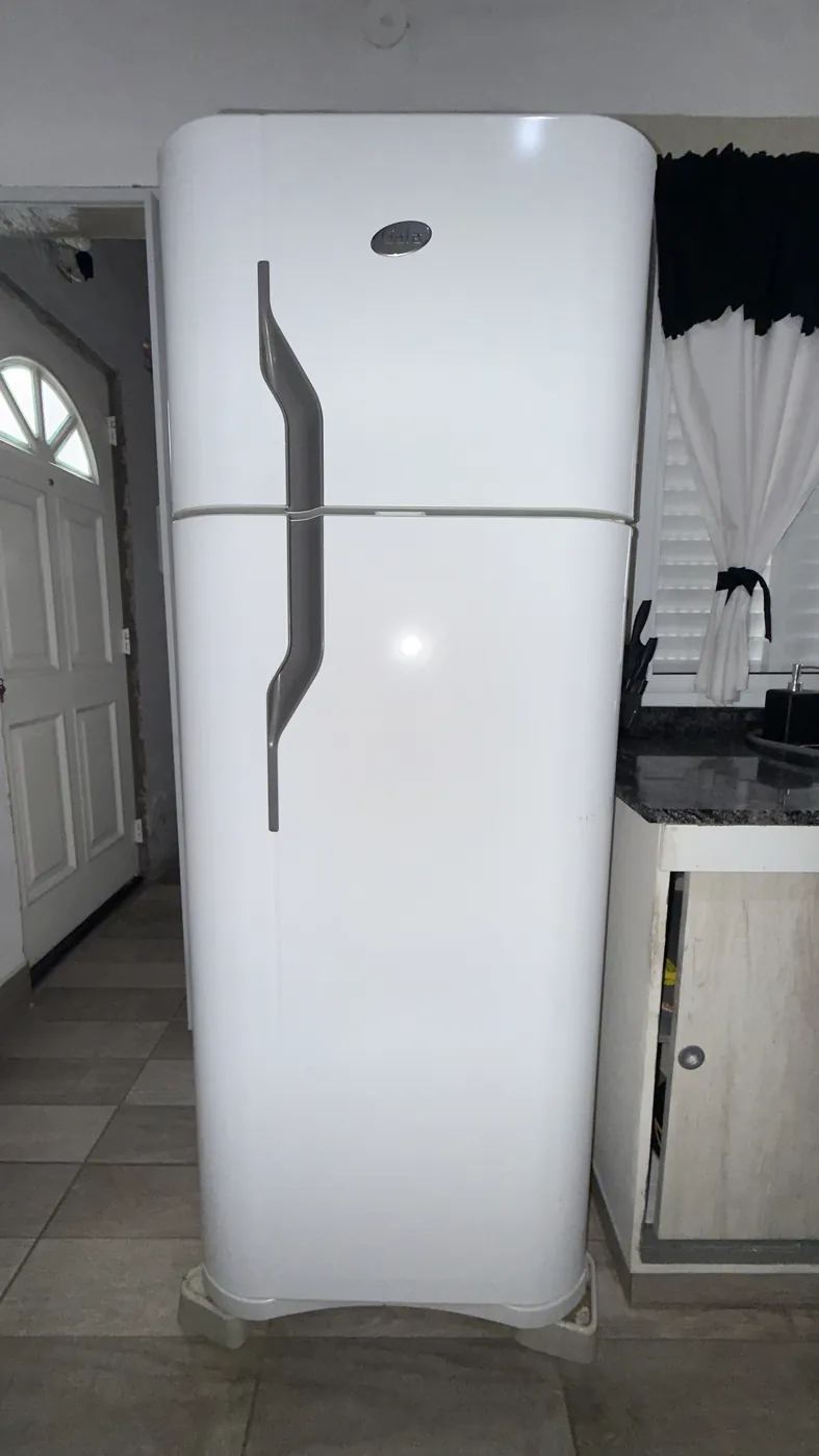The actual fridge, standing in my kitchen